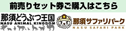 前売りセット券ご購入はこちら