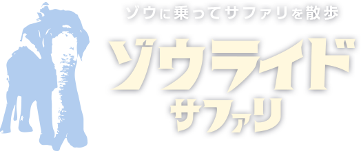 タイトル:ゾウに乗ってサファリをを散歩 ゾウライドサファリ