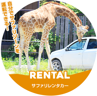 入園方法 那須サファリパーク 入園方法 那須サファリパーク
