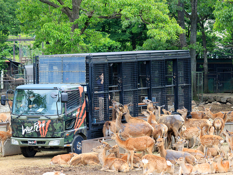 入園方法｜那須サファリパーク