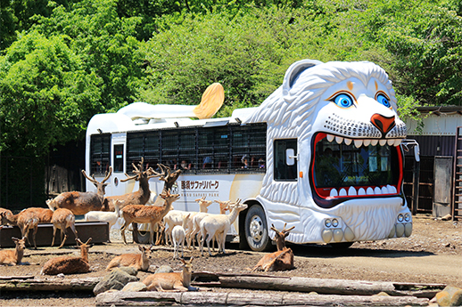 入園方法 那須サファリパーク 入園方法 那須サファリパーク