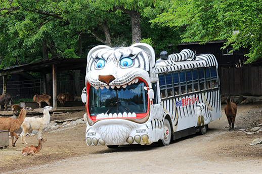 入園方法 那須サファリパーク 入園方法 那須サファリパーク