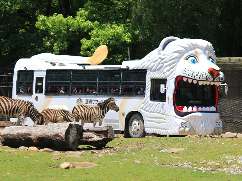 入園料金 営業時間 那須サファリパーク 入園料金 営業時間 那須サファリパーク