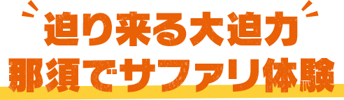 迫り来る大迫力那須でサファリ体験