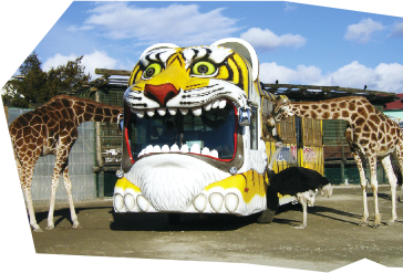 園内マップ 那須サファリパーク 園内マップ 那須サファリパーク